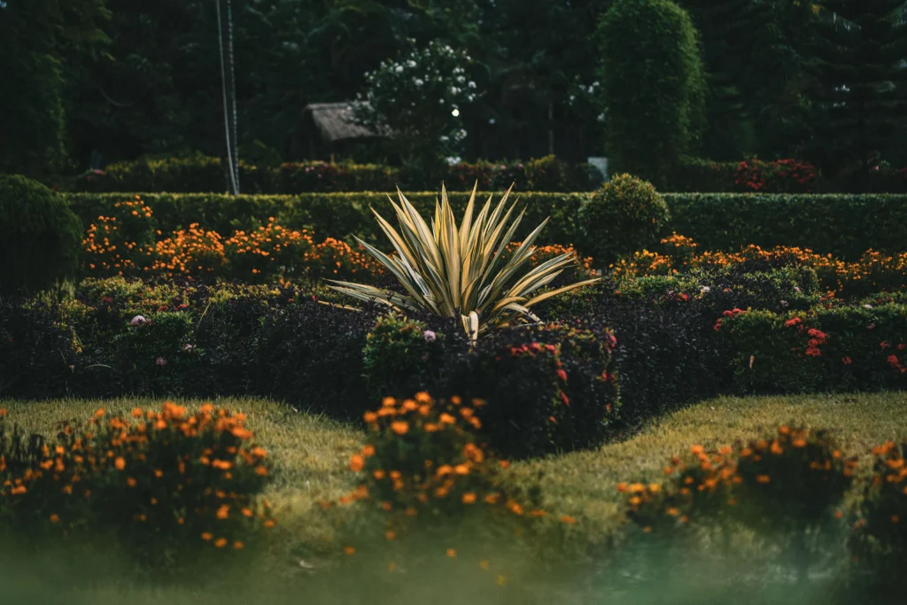 Jnan Sbil Gardens