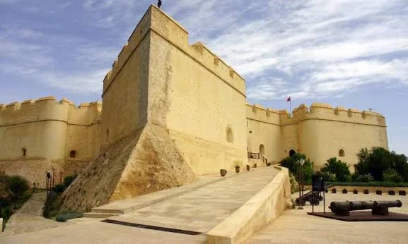 Fes from Borj Nord